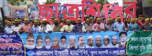 Shibir